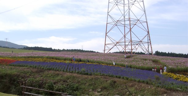 �G�̗��R�X���X