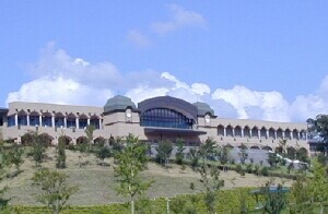 ��͍����r�[