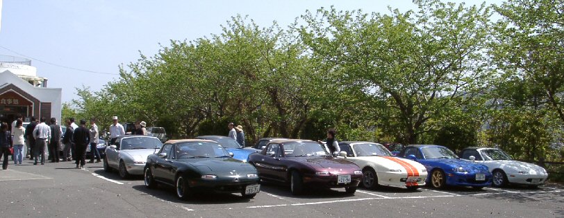 �}�����p�[�N�L���P